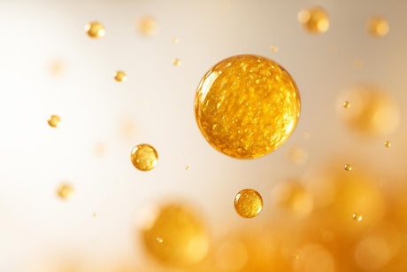 How Fat Cells Shape Cultivated Meat Flavour